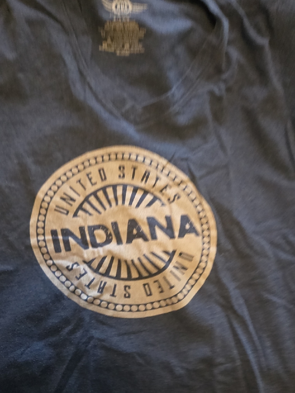 Indiana Graphic Tee in Black and Gold
